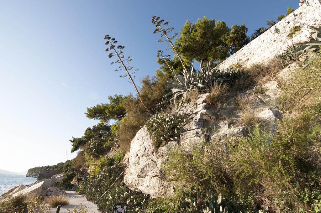 Poolside Paradise - A Hidden Gem In Split Exterior photo